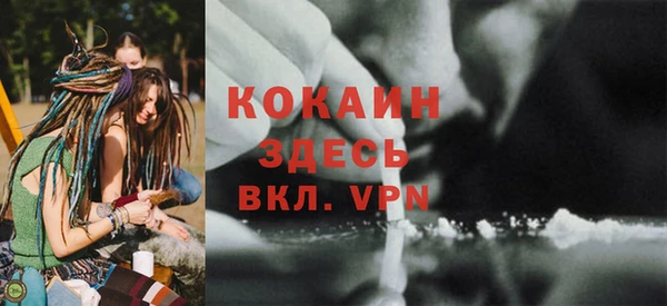 кокс Алексин