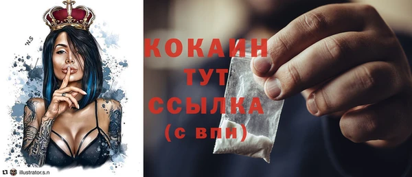 кокс Алексин