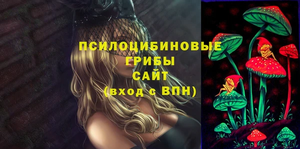 кокс Алексин
