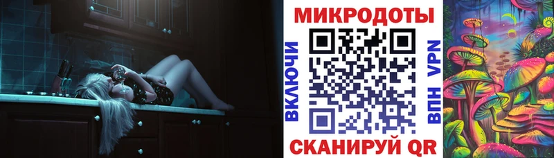 дарнет шоп  Конаково  Галлюциногенные грибы Psilocybe 